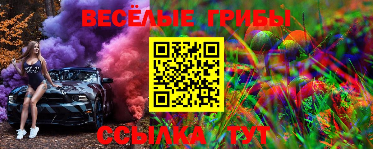 Псилоцибиновые грибы Magic Shrooms  Вход с VPN  Благодарный 