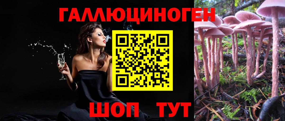 Псилоцибиновые грибы MAGIC MUSHROOMS Благодарный