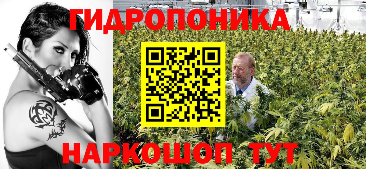 МАРИХУАНА MAZAR  Марихуана план  МАРИХУАНА ГИДРОПОН  Марихуана план  Благодарный  Вход с VPN 